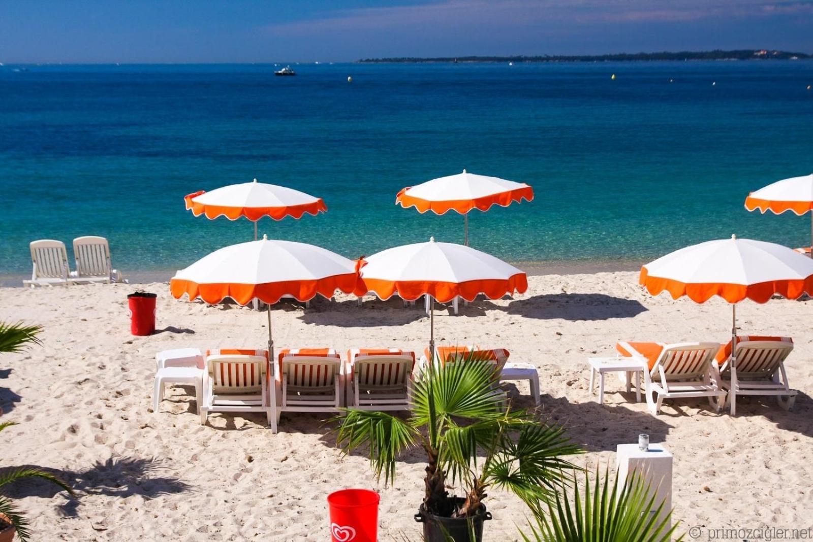 Flore Juan-les-Pins Kültér fotó